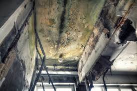 Best Mold Prevention Services  in Cranston, RI